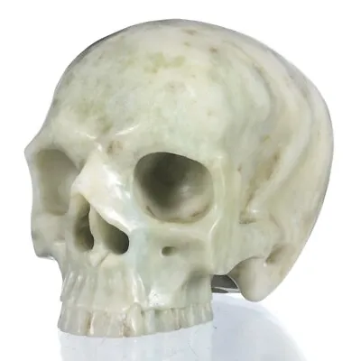 5.04 Natural Green Jade Crystal Skull With No Jaw Carving Collectibles 27F31  • £103.32