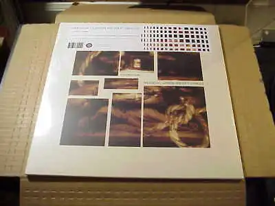 LP:  MERZBOW / GENESIS BREYER P-ORRIDGE - A Perfect Pain  NEW SEALED IMPORT • $48.95