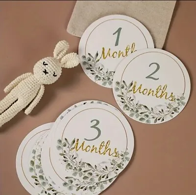 12 Pcs Beautiful Baby Milestone Cards  Monthly Cards Newborn Gift Photo Unisex • £6.28