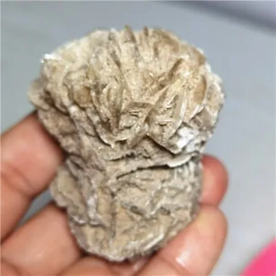 $1.58 • Buy 84g DESERT ROSE SELENITE Specimen Crystal Stone Mineral Cluster  L640