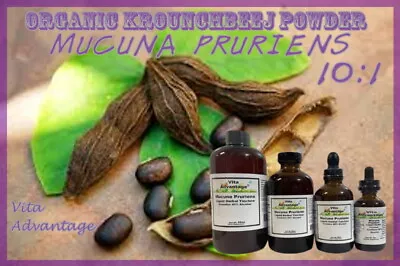 Mucuna Pruriens Tincture Highest Quality 10:1 • $18.99