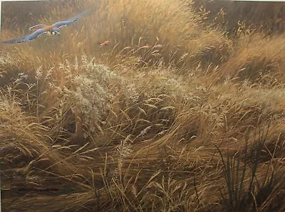 $120 • Buy Robert Bateman Kestrel And Grasshopper Signed And Numbered With Cert