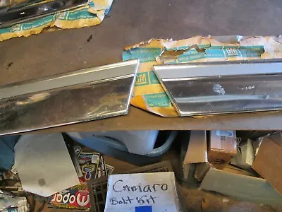 1973 1977 Monte Carlo Nos Lower Quarter Trim • $220