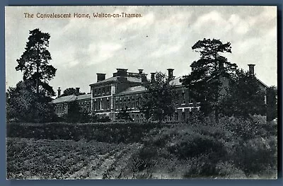The Convalescent Home Walton On Thames Postcard Social History Medical C1910  • £5.38