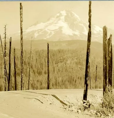 RPPC Mt Hood From The Loop Road Oregon Sepia Postcard • $11.85