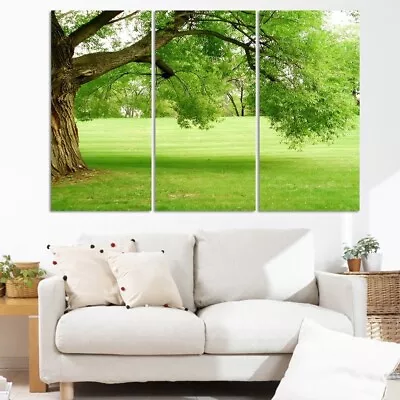 Green Tree Scenery 3 Piece Canvas Print Wall Art Poster Home Decoration • $103.85