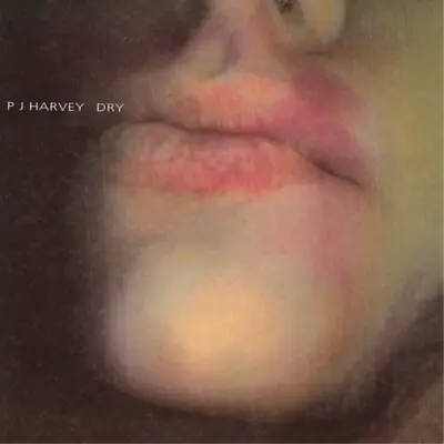£25.44 • Buy PJ Harvey Dry (Vinyl) 12  Album (US IMPORT)
