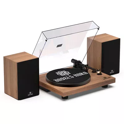 ANGELS HORN Vinyl Record Player With Speaker Bluetooth High-Fidelity Turntable • $259.98