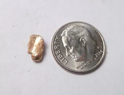 Natural Placer Gold Nugget .31 Grams Alaska Gold Low Starting Bid • $22.01