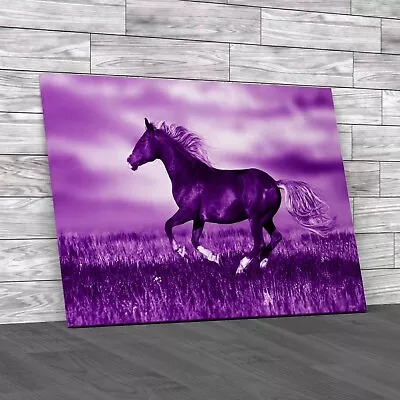 Horse In Lavender Field A Breathtaking Run Purple Canvas Print Large Picture • £14.95