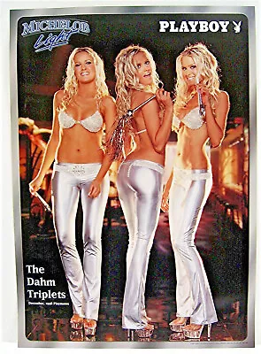 Old Dahm Triplets 1998 Playboy Playmates Michelob Light Beer Dorm Poster Sign • $29.99