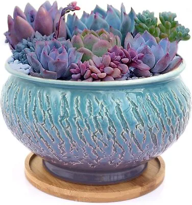 $99 • Buy Vintage Color Glazed Round Ceramic Succulent Plant Pot Drainage Hole Tray Vase