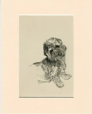 £9.99 • Buy DANDIE DINMONT TERRIER VINTAGE 1939 OLD DOG ART PRINT By  K F BARKER MOUNTED