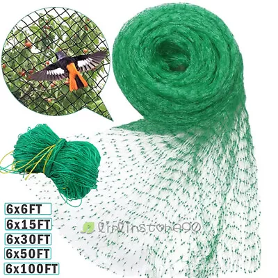 Garden Plant Climbing Net Trellis Netting Mesh Support Fruits Vine Veggie Bean • $32.99