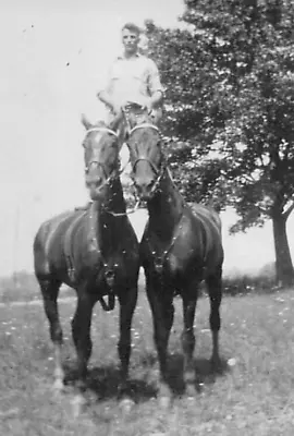 1940s Original VTG Photo Monkey Drill Horses Trick Rider Byrnes Fort Hoyle MD • $39.99