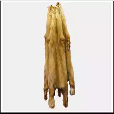 Glacier Wear Sable Pine Marten Fur Pelt Hide Golden • $119.95