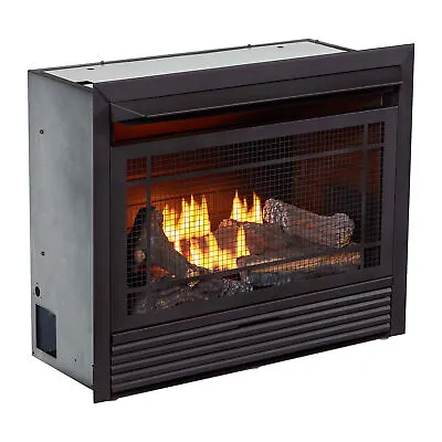 Duluth Forge 26000 BTU Dual Fuel Ventless Gas Fireplace Insert W/Remote Control • $699.99