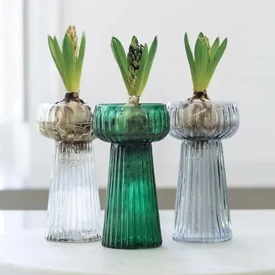 £7 • Buy Ribbed Textured Hyacinth Flower Bulb Glass Vase, Clear Grey Green 15x7.5cm