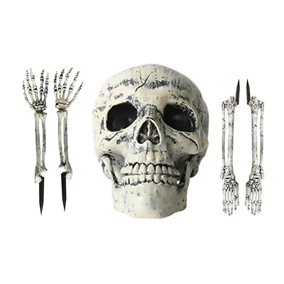 £9.99 • Buy 5PC Halloween Scary Horror Skeleton Prop Party Deco Human Head Skull Hands Bones