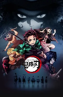 Demon Slayer Poster Photo Print 11x17 Mugen Entertainment Tanjiro Nezuko 1 • $24