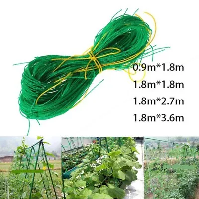 £6.35 • Buy Trellis Plant Support Mesh Net Fence Tent Climbing Veggie Pea Bean Fruit Mesh