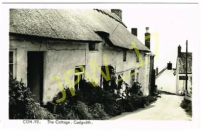 RP Postcard: The COTTAGE CADGWITH Nr Helston Cornwall (Cadgwith Hotel Sign)  • £2.95