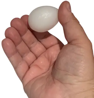 Fake SOLID PLASTIC EGG White Dove Chicken Prop Gag For Bag Magic Trick Magician • $9.89