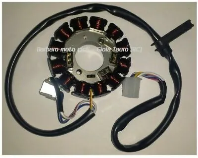 Stator Flywheel Ignition Engine Minarelli AM6 345 Beta RR Motard 12 Poles • $73.17