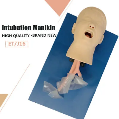 $195 • Buy Intubation Manikin Study Teaching Training Model Airway Management Trainer Kit