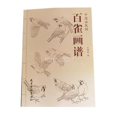 Sparrows Drawing Sketching Manuscript Sheet Tattoo Flash Book Reference • $17.31