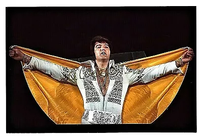 Elvis Presley Concert (cape) Photograph #1 - Atlanta Ga - July 3 1973     • $3.79