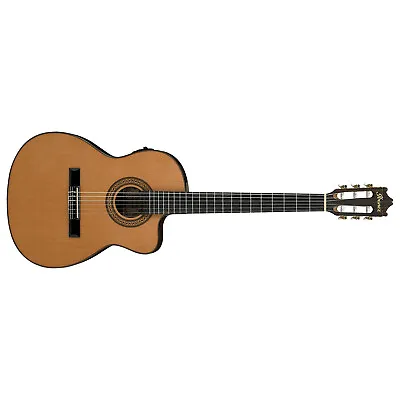 Ibanez GA5TCE Classical Nylon String Acoustic Electric Guitar Spruce Top • $279.99