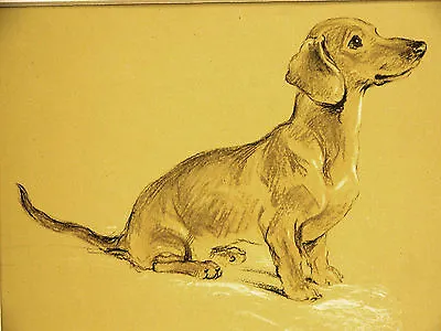 Lucy Dawson Royal Short Haired Tan DACHSHUND 1937 Vintage Dog Print Matted • $24