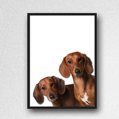 Sausage Dachshund Dog Print PICTURE WALL ART A4 Unframed Portrait 87 • $4.96