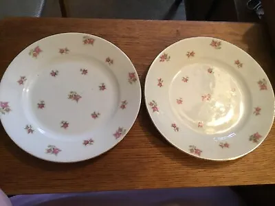 Dessert For 2 Victoria China Czechoslovakia Dusty Roses Gold Trim  7 1/2  Plates • $12