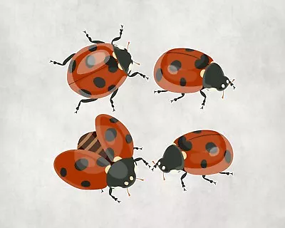 4 X Ladybird Ladybug Insect Animal Sticker IPad Laptop Decals Stickers  • £3.41