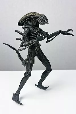 Alien - Warrior Xenomorph 10” Figure From ALIENS - McFarlane Toys - Refurbished • $7.99