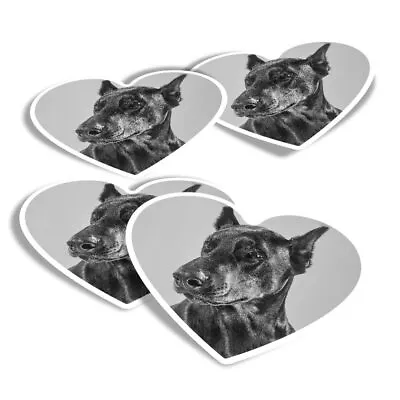 £3.99 • Buy 4x Heart Stickers - BW - Doberman Dog Portrait Puppy  #39046