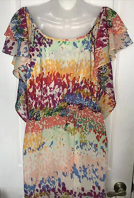 H&M Garden Collection Multicolor Floral Watercolor Sheer Flutter Sleeve Dress 14 • $25.95