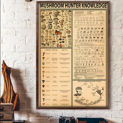 Mushroom Hunter Mushroom Hunting Knowledge Poster • $11.93