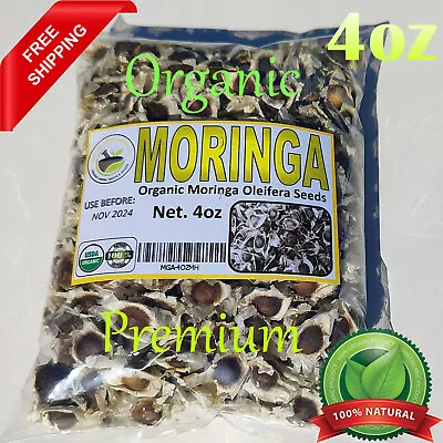 Moringa Organic Moringa OleiferaPremium Moringa Seeds Semillas De Moringa 4oz • $12.49