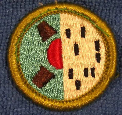 Boy Scouts Of America BSA COMPUTERS Merit Badge Plastic Back • $2.50