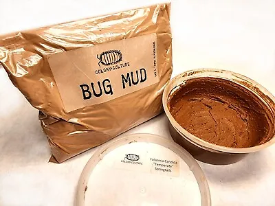  Bug Mud  Springtail Calcium Clay Mix - 1Lb Of Powdered Clay Culture Media • $10