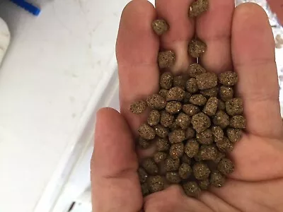 $7.48 • Buy BEST Koi Chiclid Goldfish Fish Food Floating Pond Pellets Medium Or Lrg *CHOOSE*