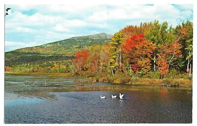 Lake And Mt. Monadnock Near Jeffrey Center New Hampshire - Postcard • $2.25