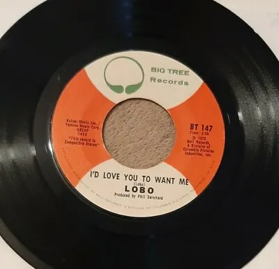 Lobo 45 Am I True To Myself / I'd Love You To Want Me 1972 Big Tree BT 147 Vg+ • $4.05