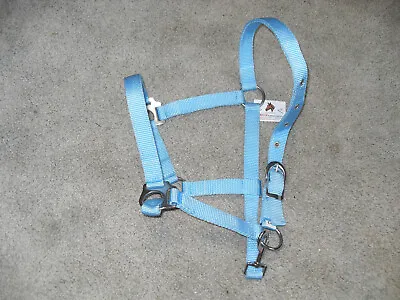  Sky Blue Cob / Arabian Nylon Halter With Snap At Throat Adjustable  Crown • $6.99