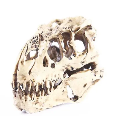 1PC Tyrannosaurus T-Rex Skull Resin Fossil Model Dinosaur Collectibles Replica • £15.66