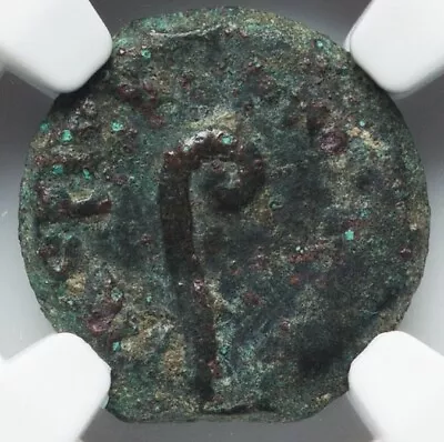 NGC VF VERY FINE Pontius Pilate Judaea Jesus Bible Coin 26-36 AD Genuine Prutah • $389.99