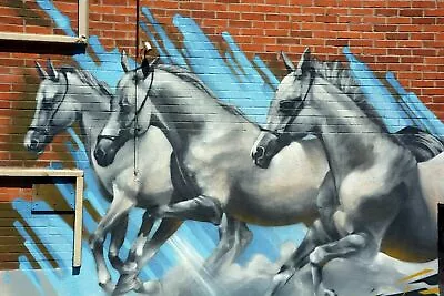 £89.90 • Buy Photo Wall Mural-GRAFFITIS-(4202)-NON WOVEN-Wallpaper-Horse Street Art Deco XXL